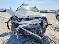 2024 Toyota RAV4 фото