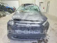 2024 Toyota RAV4 фото