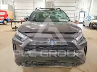 2024 Toyota RAV4 photo