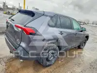 2024 Toyota RAV4 photo