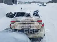 2024 Toyota COROLLA photo