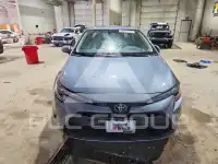2024 Toyota COROLLA photo