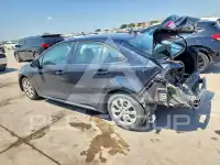 2024 Toyota COROLLA photo