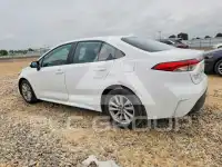 2024 Toyota COROLLA photo