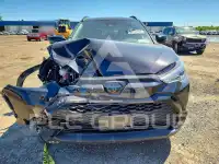 2024 Toyota COROLLA photo