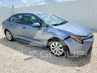 2024 Toyota COROLLA photo
