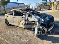2024 Toyota COROLLA photo