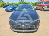 2024 Toyota COROLLA фото