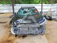 2024 Toyota COROLLA photo