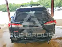 2024 Toyota COROLLA photo