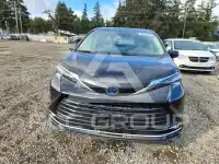 2024 Toyota SIENNA фото