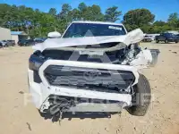 2024 Toyota TACOMA photo