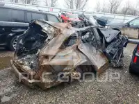 2024 Toyota Highlander photo