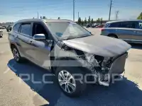 2024 Toyota Highlander photo