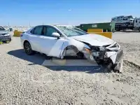 2024 Toyota CAMRY photo