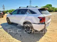 2024 KIA Sorento photo