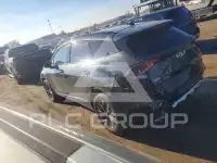 2024 KIA Sportage фото