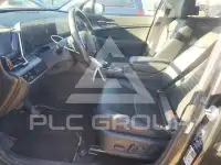 2024 KIA Sportage фото