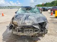 2024 KIA Sportage фото