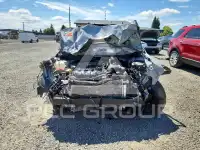 2024 KIA Sportage photo