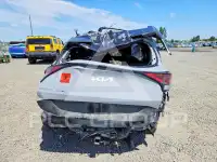2024 KIA Sportage photo