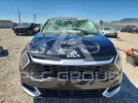 2024 KIA Sportage photo