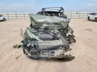 2024 KIA Sportage фото