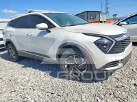 2024 KIA Sportage photo
