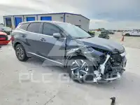 2024 KIA Sportage фото