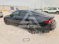 2024 KIA K5 photo
