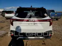 2024 KIA Seltos photo