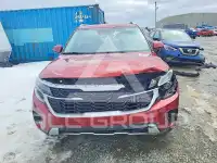 2024 KIA Seltos photo