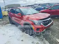 2024 KIA Seltos photo