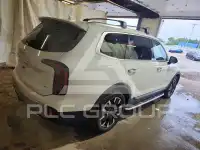 2024 KIA Telluride photo