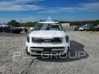 2024 KIA Telluride photo