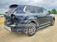 2024 KIA Telluride photo