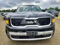2024 KIA Telluride photo