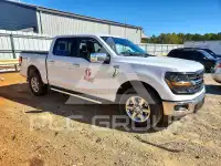 2024 Ford F-150 photo