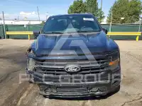2024 Ford F-150 photo