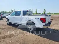 2024 Ford F-150 фото