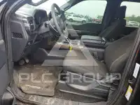 2024 Ford F-150 photo
