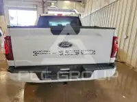 2024 Ford F-150 фото