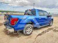 2024 Ford F-150 фото