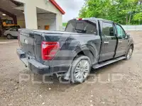 2024 Ford F-150 photo