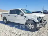 2024 Ford F-150 photo