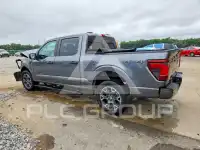 2024 Ford F-150 photo