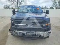 2024 Ford F-150 photo
