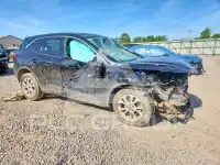 2024 Ford ESCAPE photo