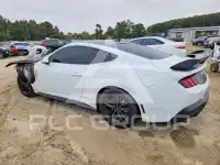 2024 Ford MUSTANG photo
