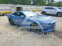 2024 Ford MUSTANG фото